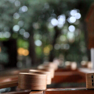 Canon EOS 5D Mark IV［ 2026-01-11 06:47:04］Horita Kiyonobu　f/3.5　1/13sec　ISO-32000　70mm　ノーマル