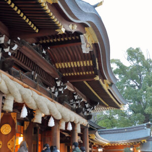 Canon EOS 5D Mark IV［ 2026-01-11 06:51:24］Horita Kiyonobu　f/3.5　1/30sec　ISO-4000　35mm　ノーマル