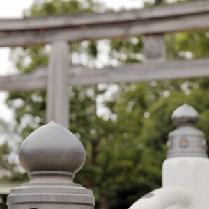 Canon EOS 5D Mark IV［ 2026-01-11 07:18:21］Horita Kiyonobu　f/2.8　1/80sec　ISO-400　70mm　ノーマル