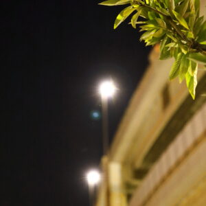 Canon EOS 5D Mark IV［ 2026-02-03 19:27:27］Horita Kiyonobu　f/2.8　1/60sec　ISO-25600　70mm　ノーマル