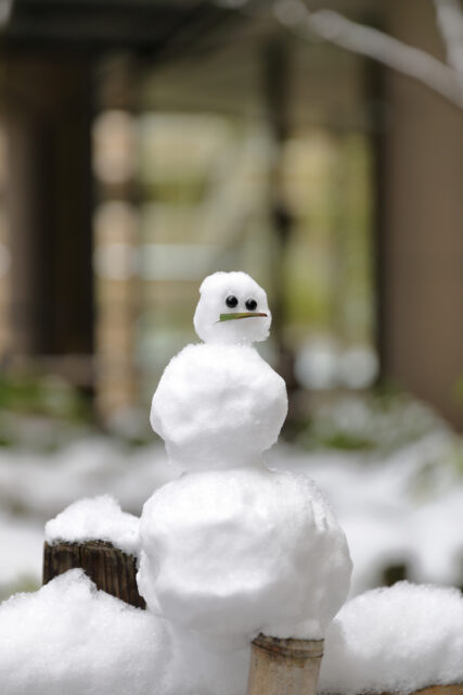 Canon EOS 5D Mark IV［ 2026-02-08 15:10:17］Horita Kiyonobu　f/2.8　1/200sec　ISO-100　70mm　ノーマル