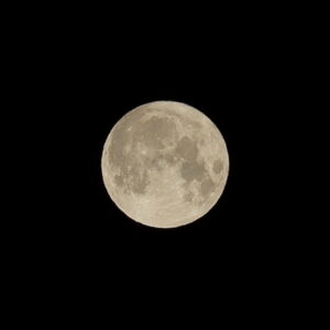 IMG_26_0502003