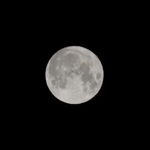 IMG_26_0502004