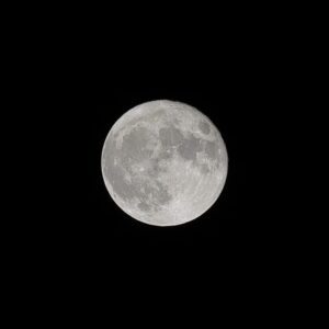 IMG_26_0502010