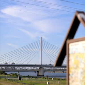 IMG_26_0509014