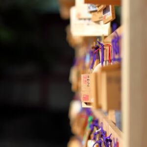 Canon EOS 5D Mark IV［ 2026-05-25 16:02:18］Horita Kiyonobu　f/2　1/2500sec　ISO-100　85mm　ノーマル