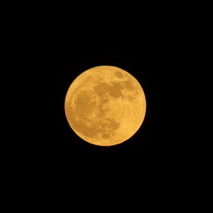 IMG_26_0531002