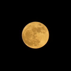 IMG_26_0531003