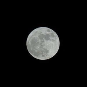 IMG_26_0531004