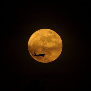 IMG_26_0531005