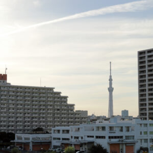 IMG_26_0606009
