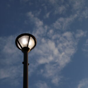 IMG_26_0629008