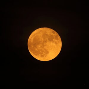 IMG_26_0630005