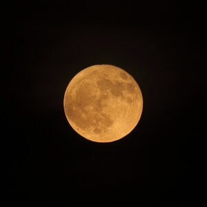 IMG_26_0630006