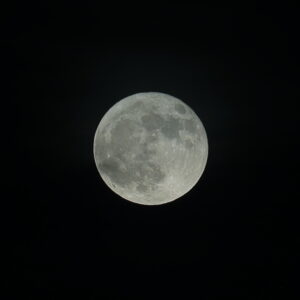 IMG_26_0630008