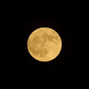 Canon EOS 5D Mark IV［ 2026-07-29 19:38:45］Horita Kiyonobu　f/8　1/30sec　ISO-50　200mm　ノーマル