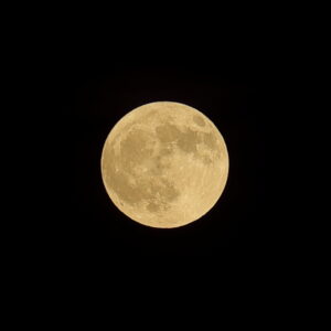 IMG_26_0729020