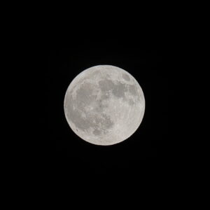 IMG_26_0729021