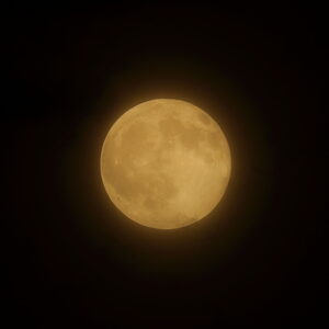 IMG_26_0828001