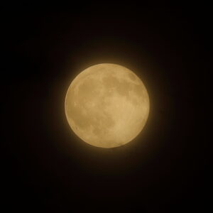 IMG_26_0828002