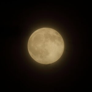 IMG_26_0828003