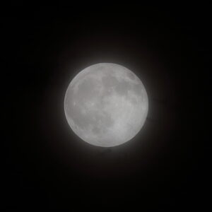 IMG_26_0828004