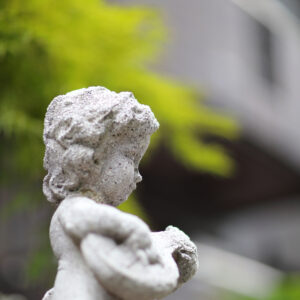 IMG_26_0831001