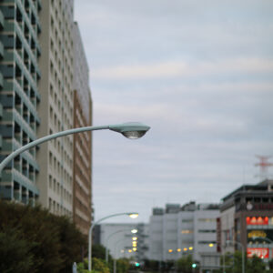 IMG_26_0831007