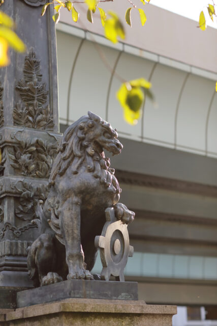 Canon EOS 5D Mark IV［ 2026-09-24 07:00:14］Horita Kiyonobu　f/2.8　1/320sec　ISO-100　85mm　ノーマル