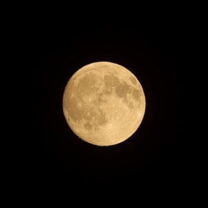 IMG_26_0925002