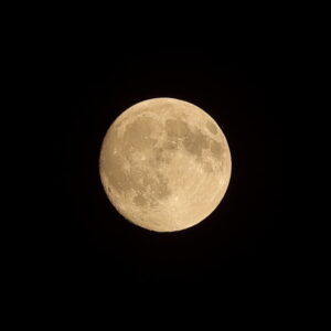IMG_26_0925003