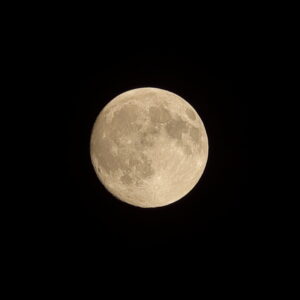 IMG_26_0925004