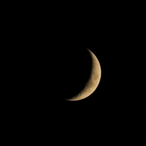 IMG_26_1015003