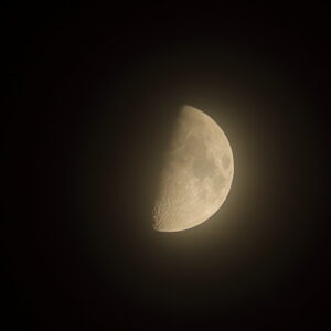 IMG_26_1019012
