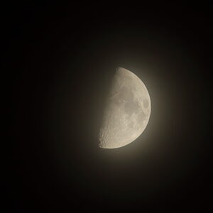 IMG_26_1019013
