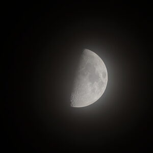 IMG_26_1019014